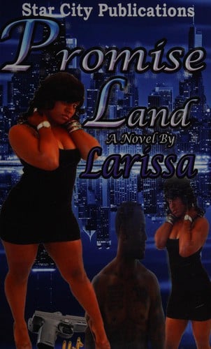 Promise land: a novel