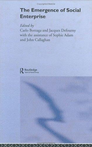 Emergence of Social Enterprise (Routledge Studies in the Management of Voluntary and Non-Profit Organizations)