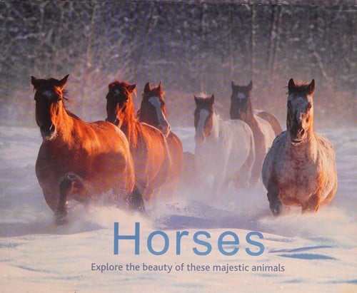 Horses: explore the beauty of these majestic animals
