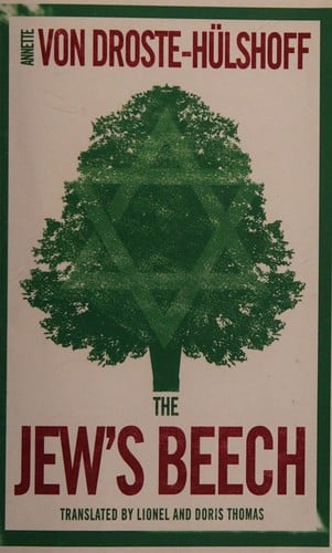 The Jew's beech