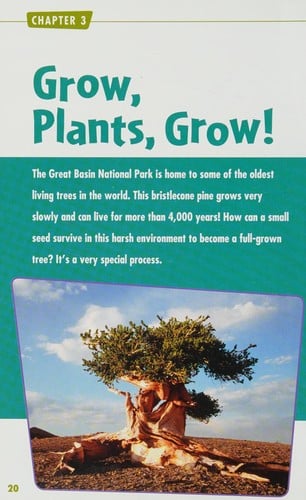 The amazing world of plants