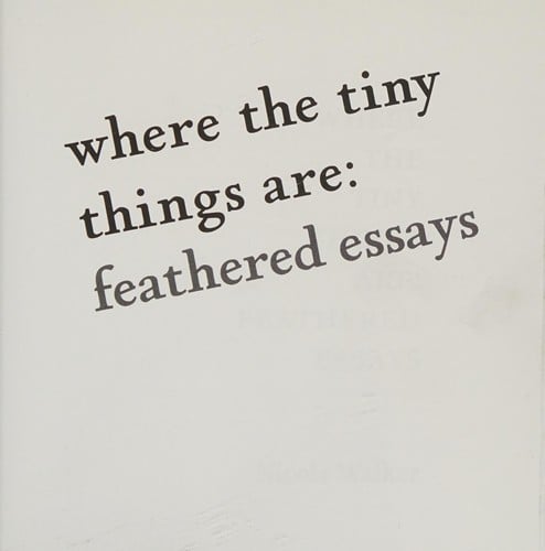 Where the Tiny Things Are: Feathered Essays