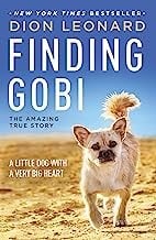 Finding Gobi: a little dog with a very big heart