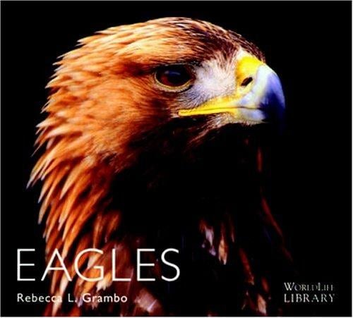 Eagles