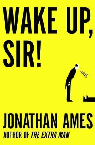 Wake up, sir!: a novel