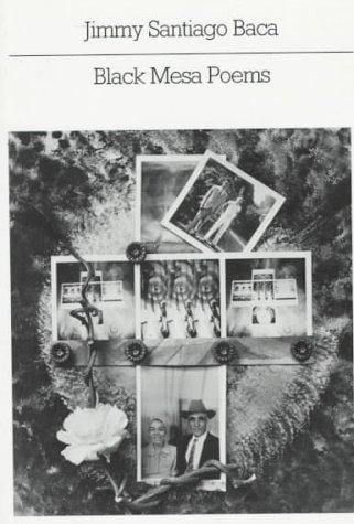 Black Mesa poems
