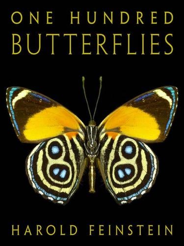 One Hundred Butterflies