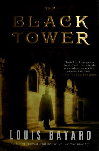 The orphan in the tower: a novel
