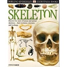 Skeleton Eyewitness Books