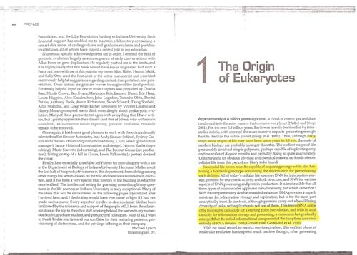The origins of genome architecture