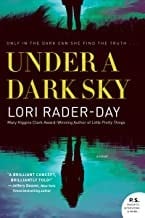 Under a dark sky: a novel