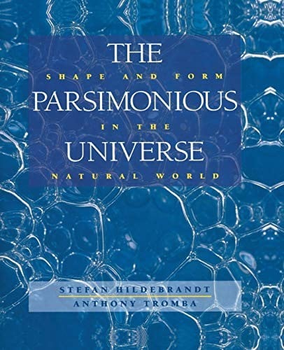 The Parsimonious Universe