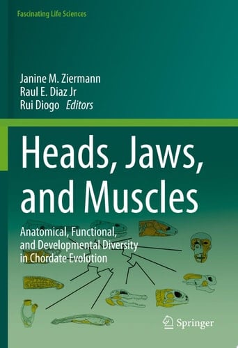 Heads, Jaws, and Muscles
