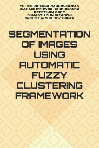 Segmentation of Images Using Automatic Fuzzy Clustering Framework