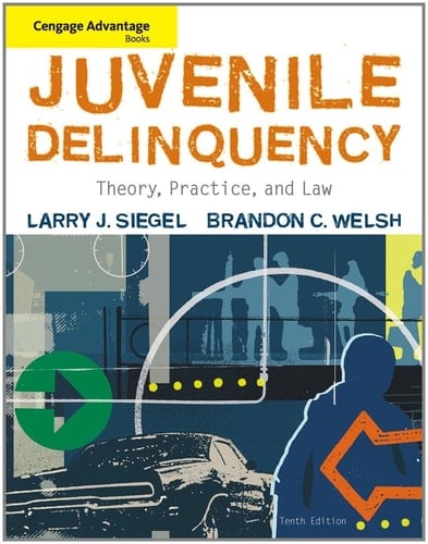 Juvenile Delinquency Theory, Practice, and Law