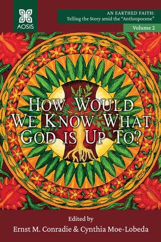 How Would We Know what God is Up To?