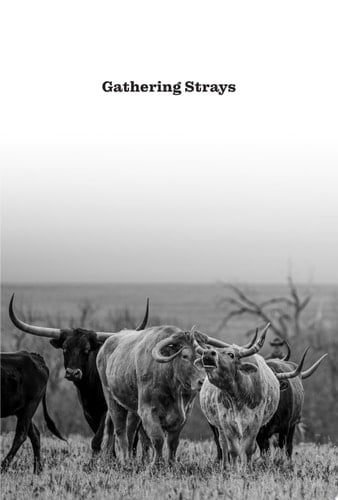 Gathering Strays Stories from Kansas and the Southwestern Plains