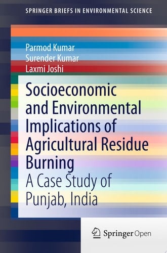 Socioeconomic and Environmental Implications of Agricultural Residue Burning A Case Study of Punjab, India