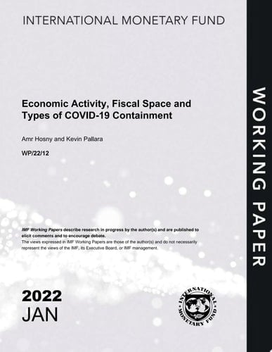 Economic Activity, Fiscal Space and Types of COVID-19 Containment Measures