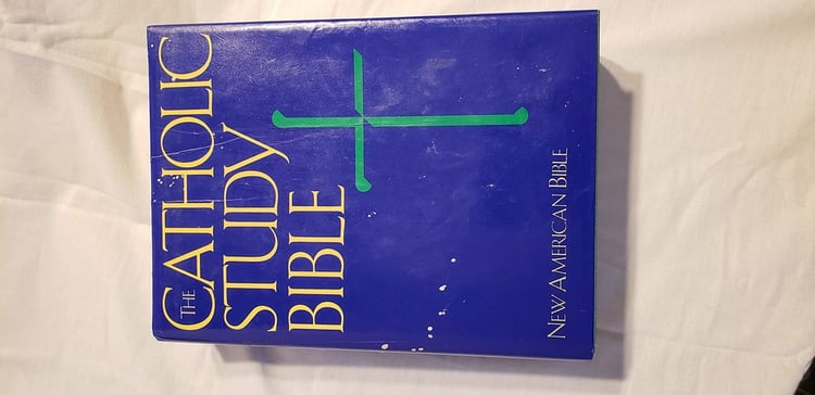 Catholic Study Bible: New American Bible, No 4200