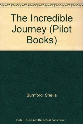 Pilot Incredible Journey Bds