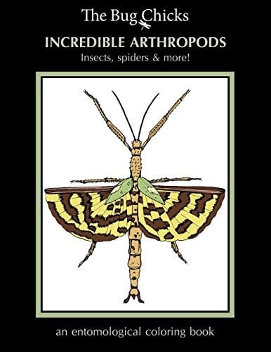 Incredible Arthropods Insects, Spiders and More!