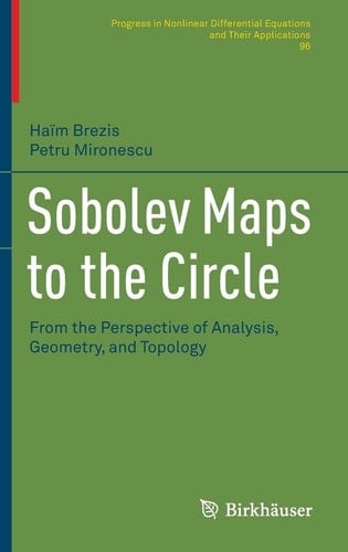 Sobolev Maps to the Circle From the Perspective of Analysis, Geometry, and Topology