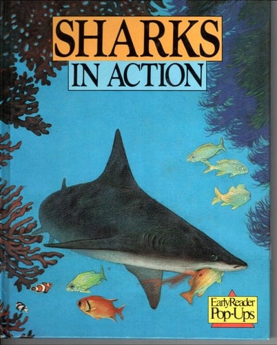 Sharks in Action