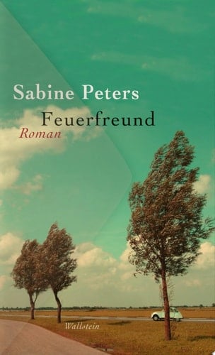Feuerfreund Roman