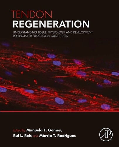 Tendon Regeneration: Understanding Tissue Physiology and Development to Engineer Functional Substitutes