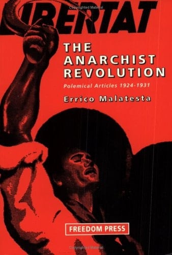 The Anarchist Revolution Polemical Articles 1924-1931