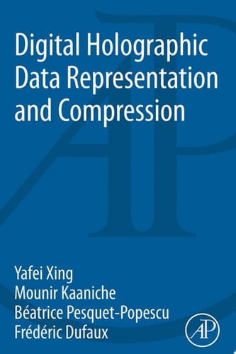 Digital Holographic Data Representation and Compression