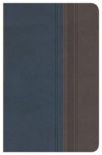 Biblia Clásica Edición Especial Duo Tono Gris-Azulado