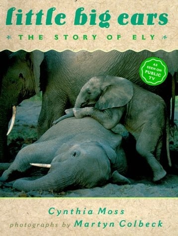 Little Big Ears The Story of Ely