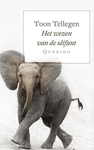 Het wezen van de olifant