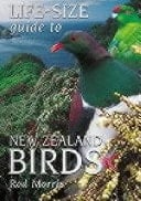 Life-Size Guide to New Zealand Birds
