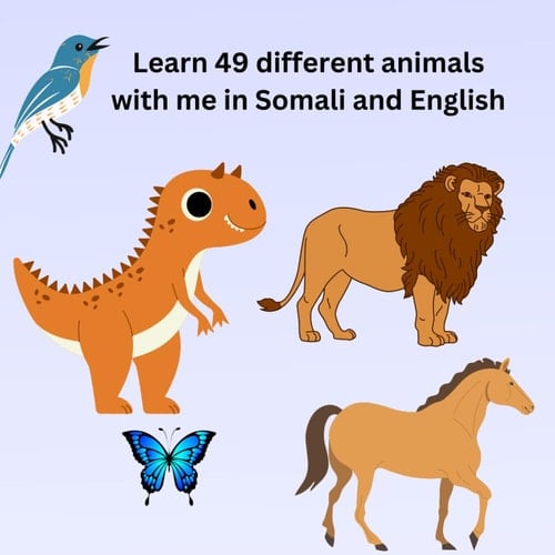 Bilingual book 49 different animals translated English to Somali: Bilingual book, Somali children's book, farm animals, jungle animals farm animals kids book, my first 49 animals book,