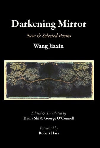 Darkening Mirror New and Selected Poems