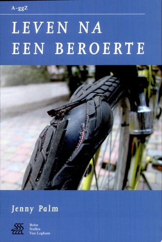 Leven na een beroerte. J. Palm