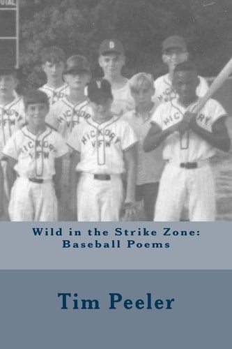 Wild in the Strike Zone Baseball Poems