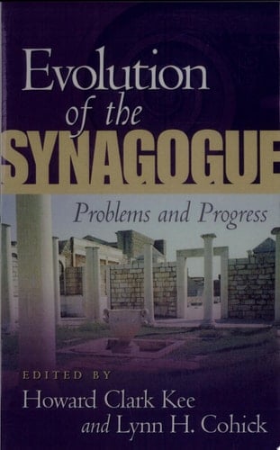 Evolution of the Synagogue Problems and Progress