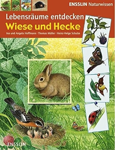 Wiese und Hecke