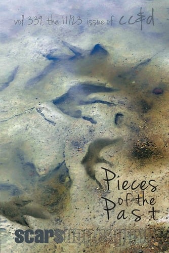 Pieces of the Past: 11/23 cc&d, v339