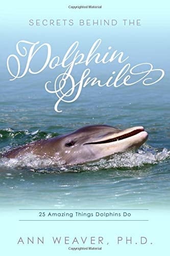 Secrets Behind the Dolphin Smile 25 Amazing Things Dolphins Do