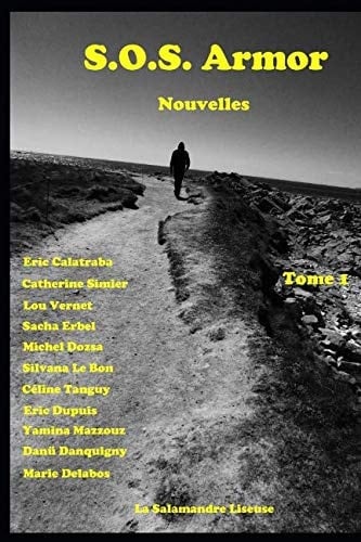 " S.O.S. Armor ": Nouvelles bretonnes (French Edition)