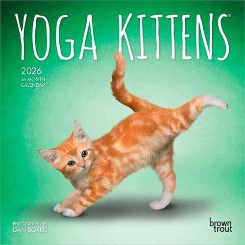 Yoga Kittens OFFICIAL | 2026 7 x 14 Inch (Hanging) Monthly Mini Wall Calendar | BrownTrout | Animals Humor Cats Feline