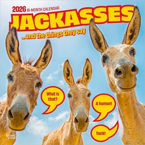 Jackasses | 2026 12 x 24 Inch (Hanging) Monthly Square Wall Calendar | Plastic-Free | BrownTrout | Donkey Humor