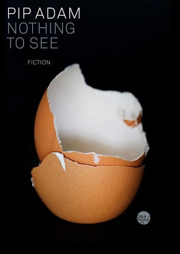 Nothing to See Fiction