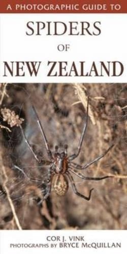 Photographic Guide to Spiders of New Zealand