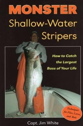 Monster Shallow-Water Stripers How to Catch the Largest Bass of Your Life